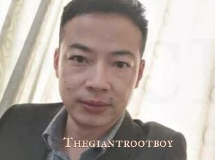 Thegiantrootboy