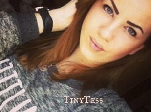 TinyTess