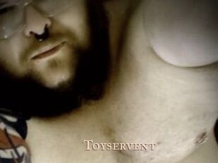 Toyservent Pink Center Fold
