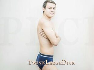 TwinkLargeDick Pink Center Fold