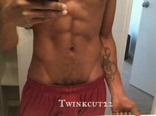 Twinkcut22