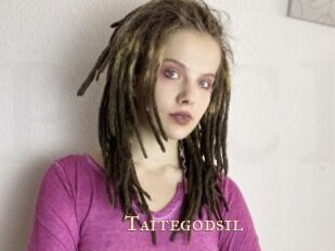 Taitegodsil