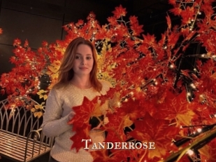 Tanderrose