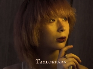taylorpark Pink Center Fold