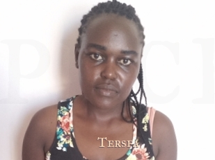 Tersfa