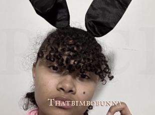 Thatbimbobunny