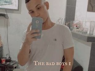 The_bad_boys_1