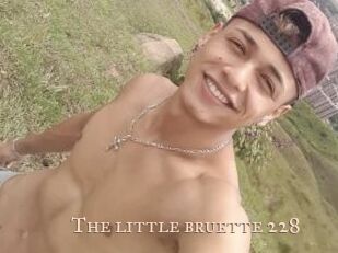 The_little_bruette_228