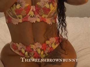 thewelshbrownbunny Pink Center Fold