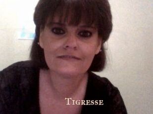 tigresse Pink Center Fold