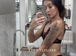 Tiny_taylorr