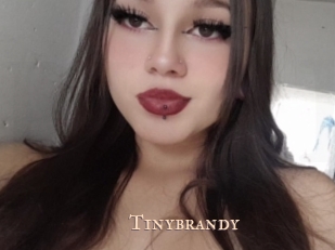 Tinybrandy