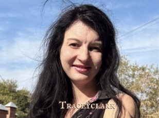 traceyclark Pink Center Fold