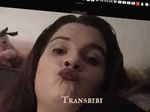 Transbibi