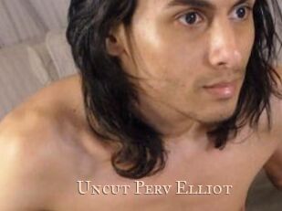 Uncut_Perv_Elliot