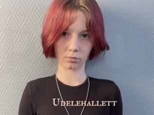 Udelehallett