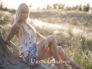 Ursecretsandy