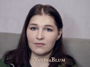 VanesaBlum Pink Center Fold