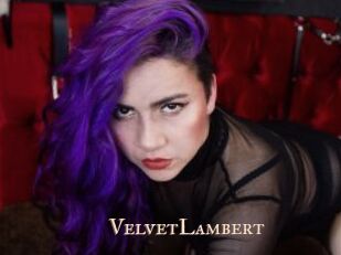 VelvetLambert