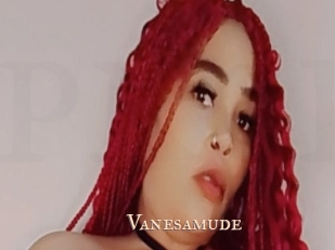 Vanesamude