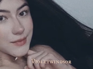 violetwindsor Pink Center Fold