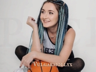 Vulgarmollyx