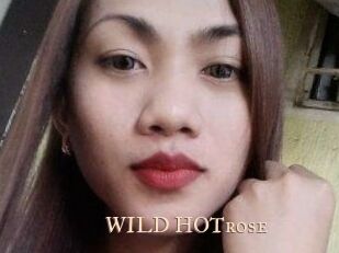 WILD_HOTrose