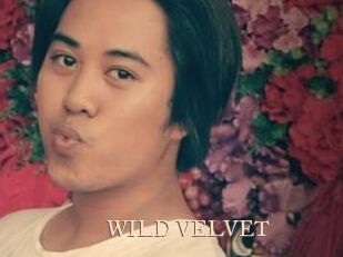 WILD_VELVET