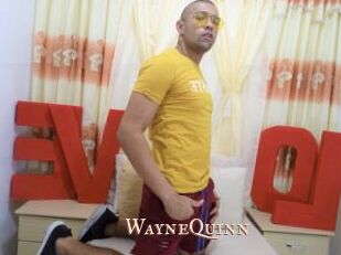 WayneQuinn