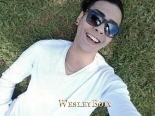 Wesley_Boix