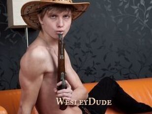 WesleyDude