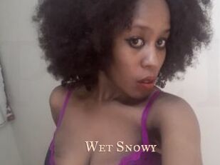 Wet_Snowy