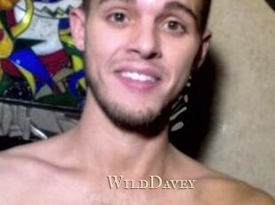 WildDavey