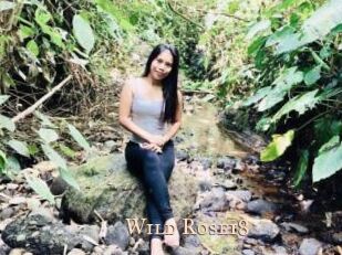 Wild_Rose18