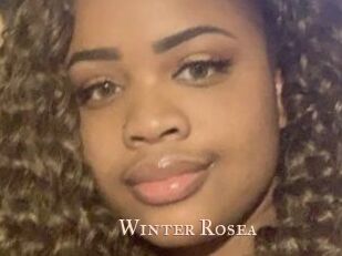 Winter_Rosea