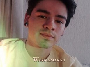 Waynemarsh