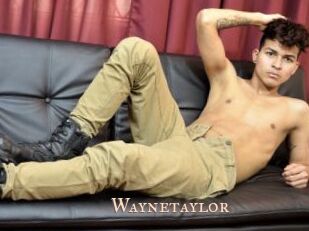 Waynetaylor
