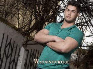 Waynneprice