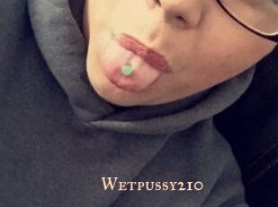 Wetpussy210