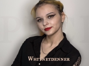 whitneydenner Pink Center Fold