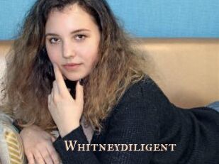 Whitneydiligent