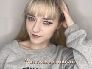 whitneygathright Pink Center Fold