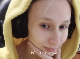 wildahamm Pink Center Fold