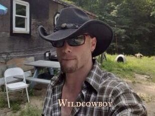 Wildcowboy