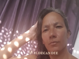wildecandie Pink Center Fold