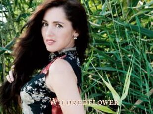 Wildredflower