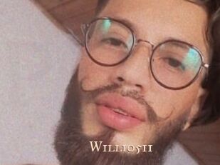 Willi0511