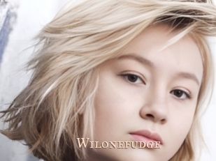 Wilonefudge