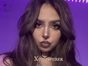 Xoxospider