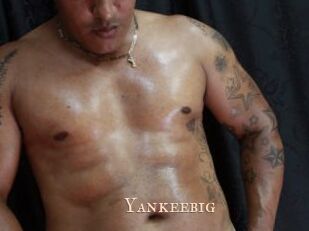 Yankeebig